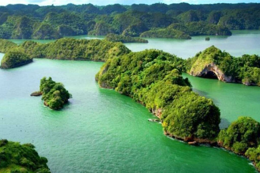 Los Haitises Viajar a Samaná