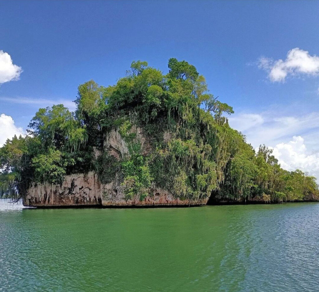 Mogote cubierto de vegetación en el Parque Nacional Los Haitises