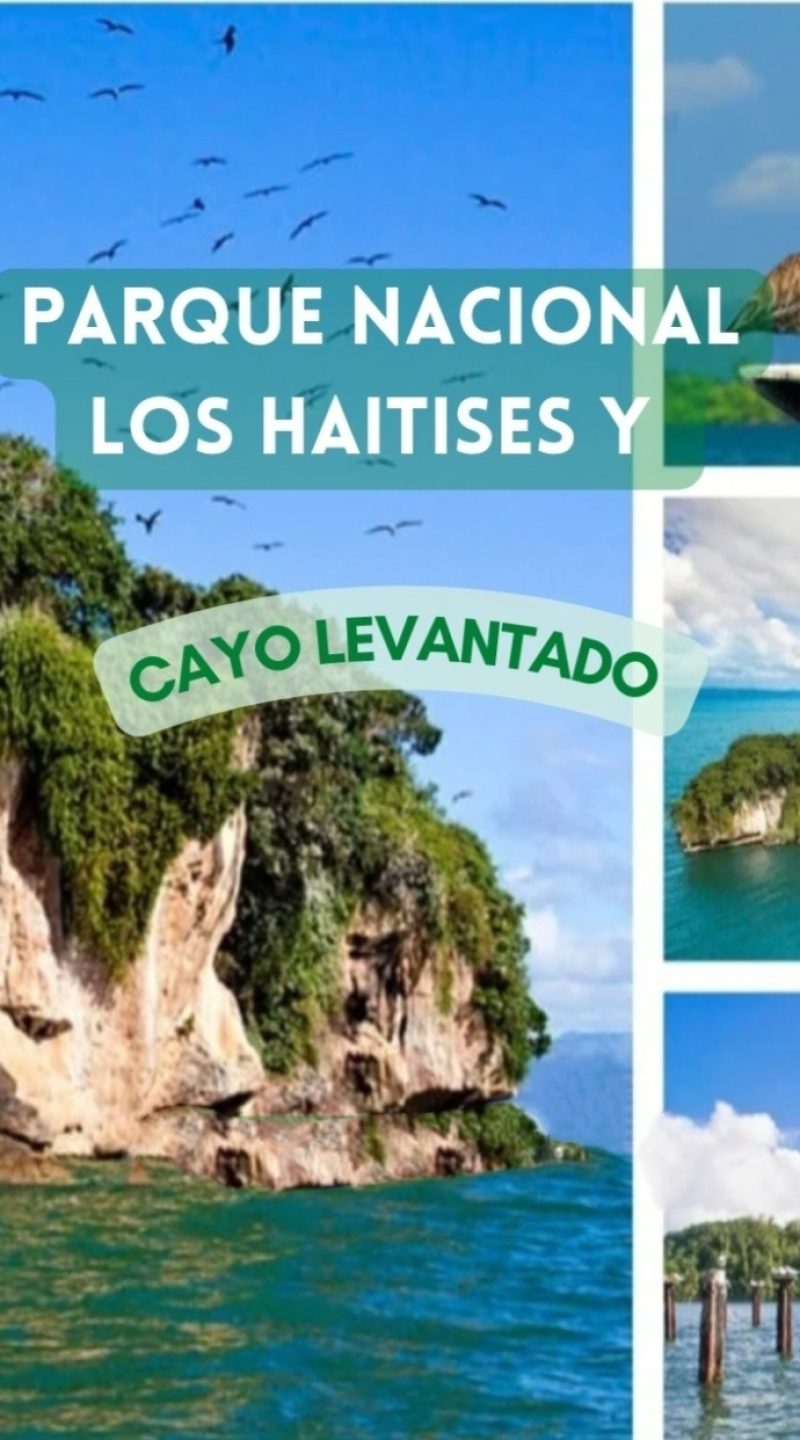 tempFileForShare_20260225-104736